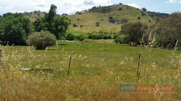 Lot 121 Grahamstown Road, Adelong NSW 2729, Image 0