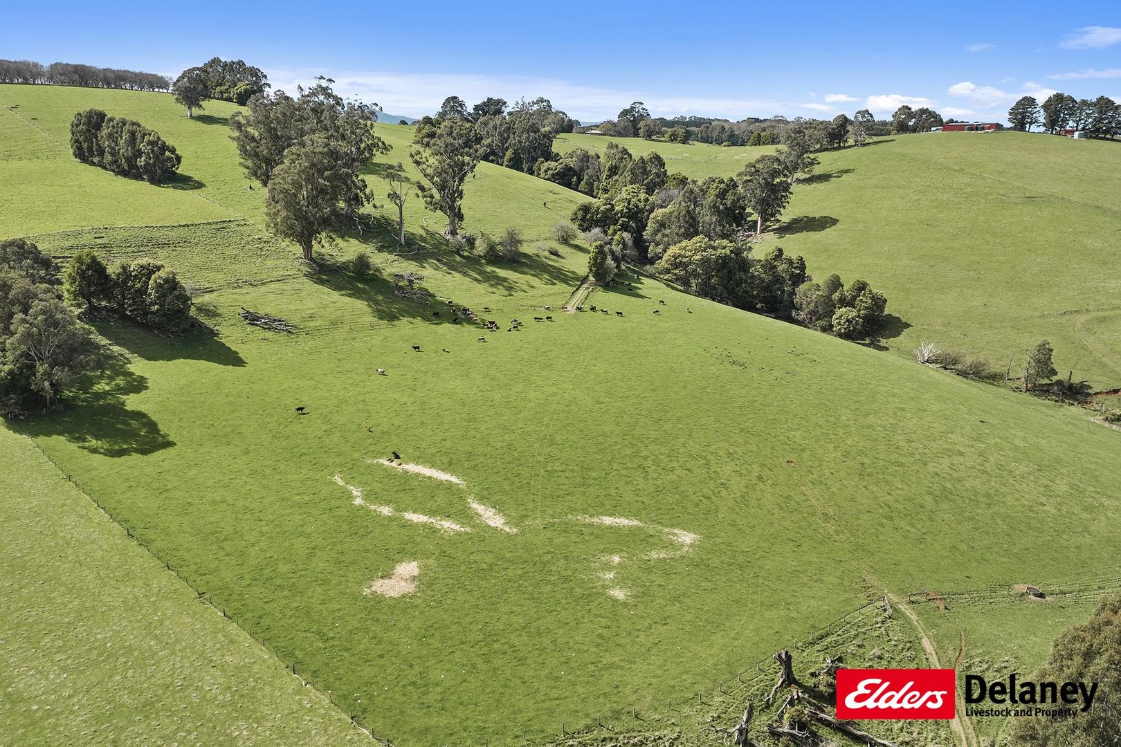 57 Hamono Road, Neerim VIC 3831, Image 1