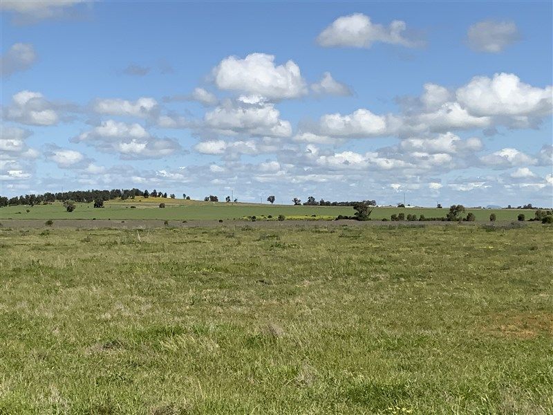 Lot 43 Dawes Road, Forbes NSW 2871, Image 0