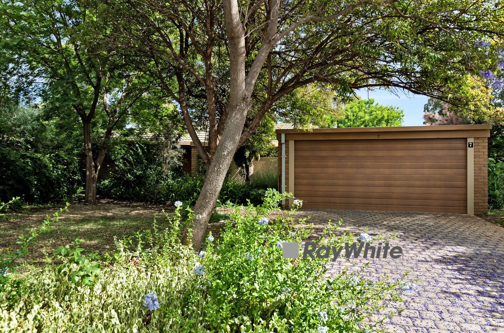 7 Bingara Close, Mildura VIC 3500 House For Rent 390 Domain