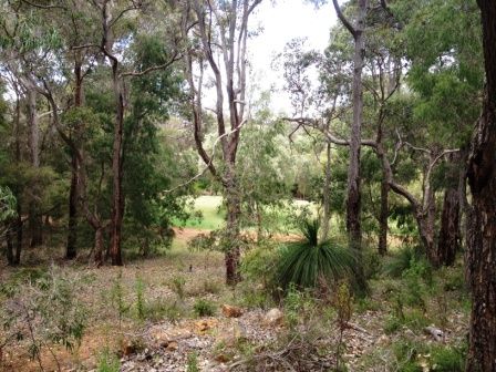 Lot 1/4072 Caves Road, Wilyabrup WA 6280, Image 0