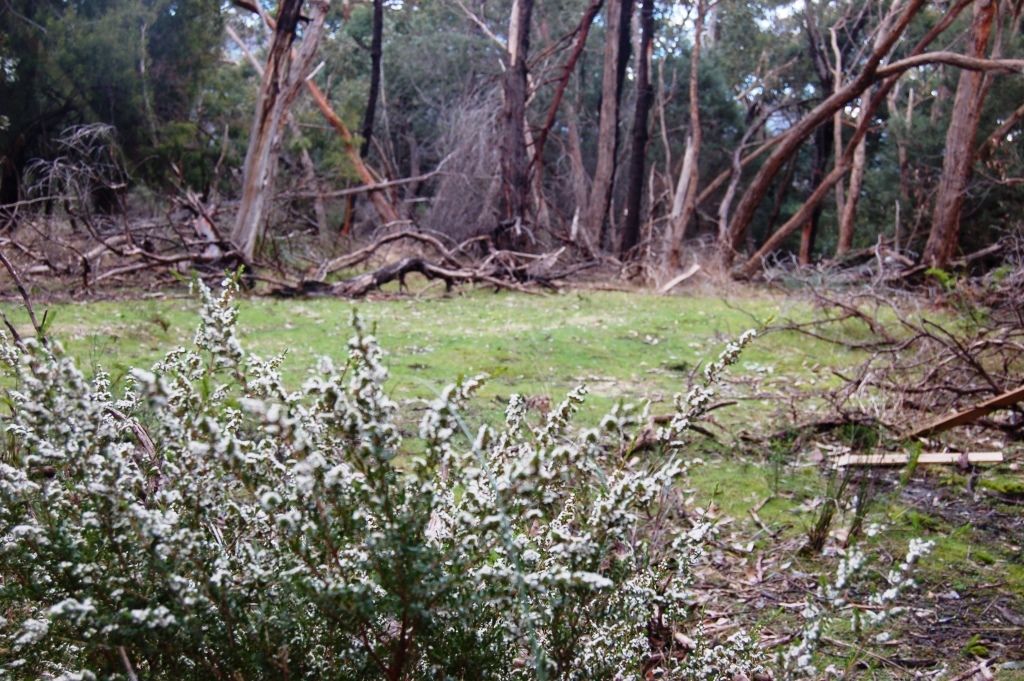 4 Thryptomene Court, Halls Gap VIC 3381, Image 1