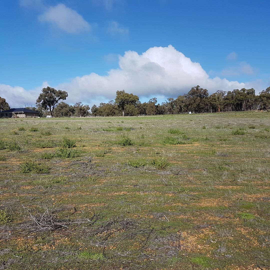 Lot 404 Brush Tail Brow, Bakers Hill WA 6562, Image 1