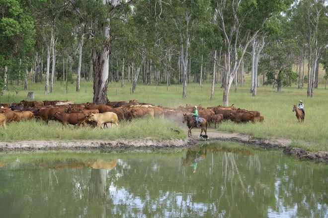 Picture of 3473 Yarrol Road, YARROL QLD 4630