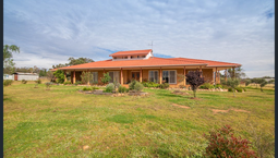 Picture of 305 Blue Springs Road, GULGONG NSW 2852