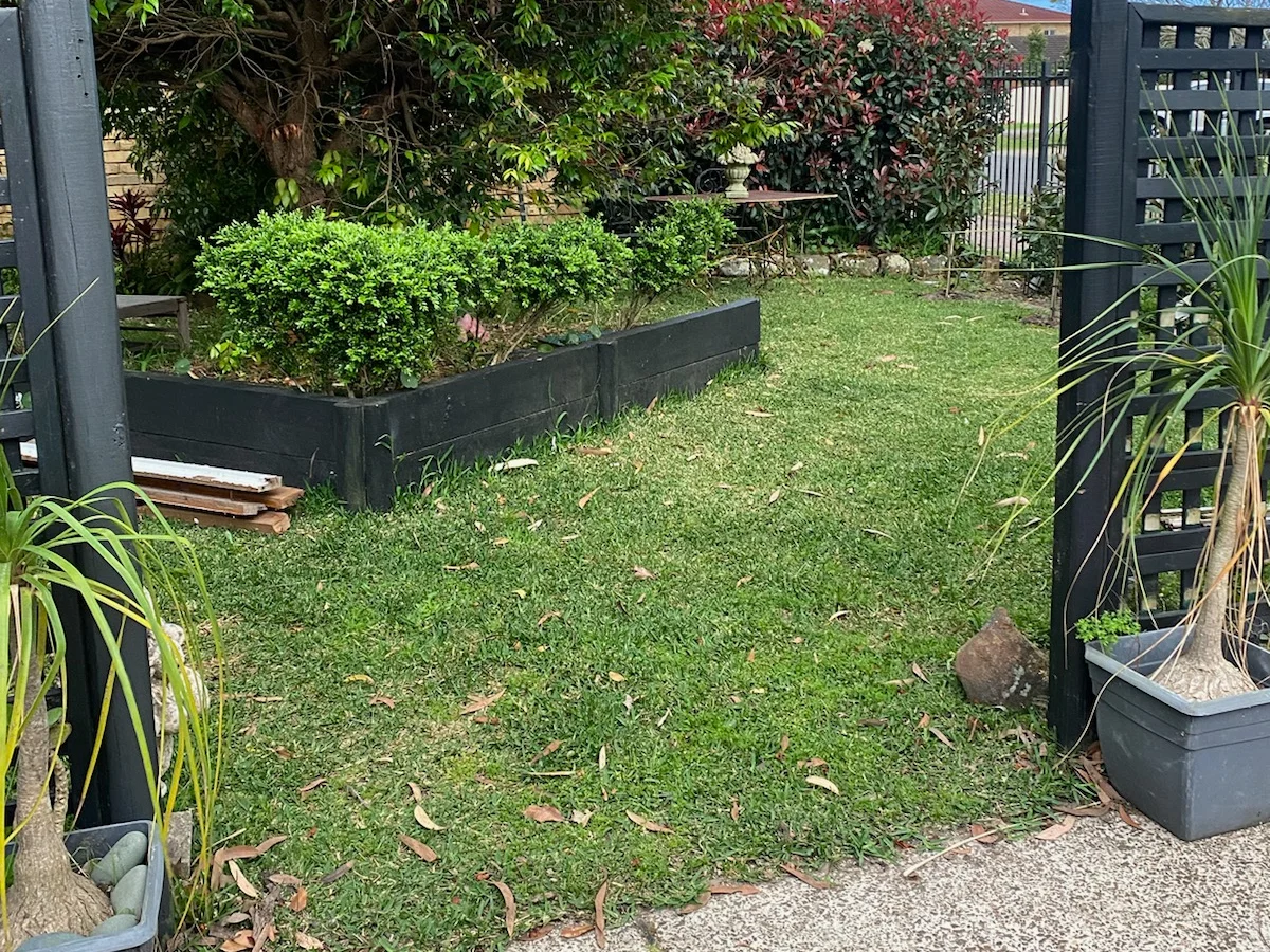 Image 13