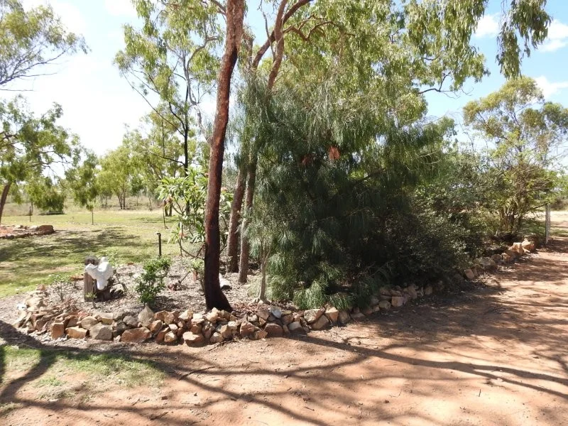 Image 25