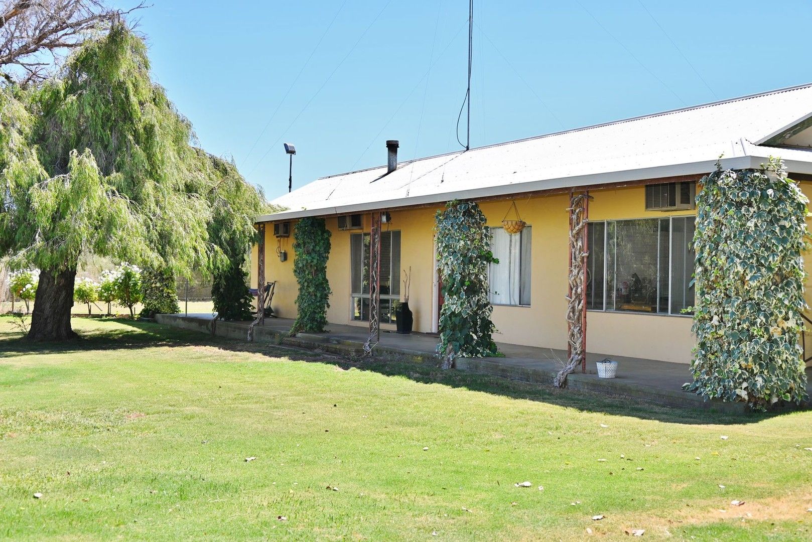 399 Virgo Road, Waikerie SA 5330, Image 0