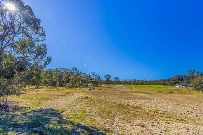 Picture of Lot 115 Tareeda Way, SPRING GROVE NSW 2470