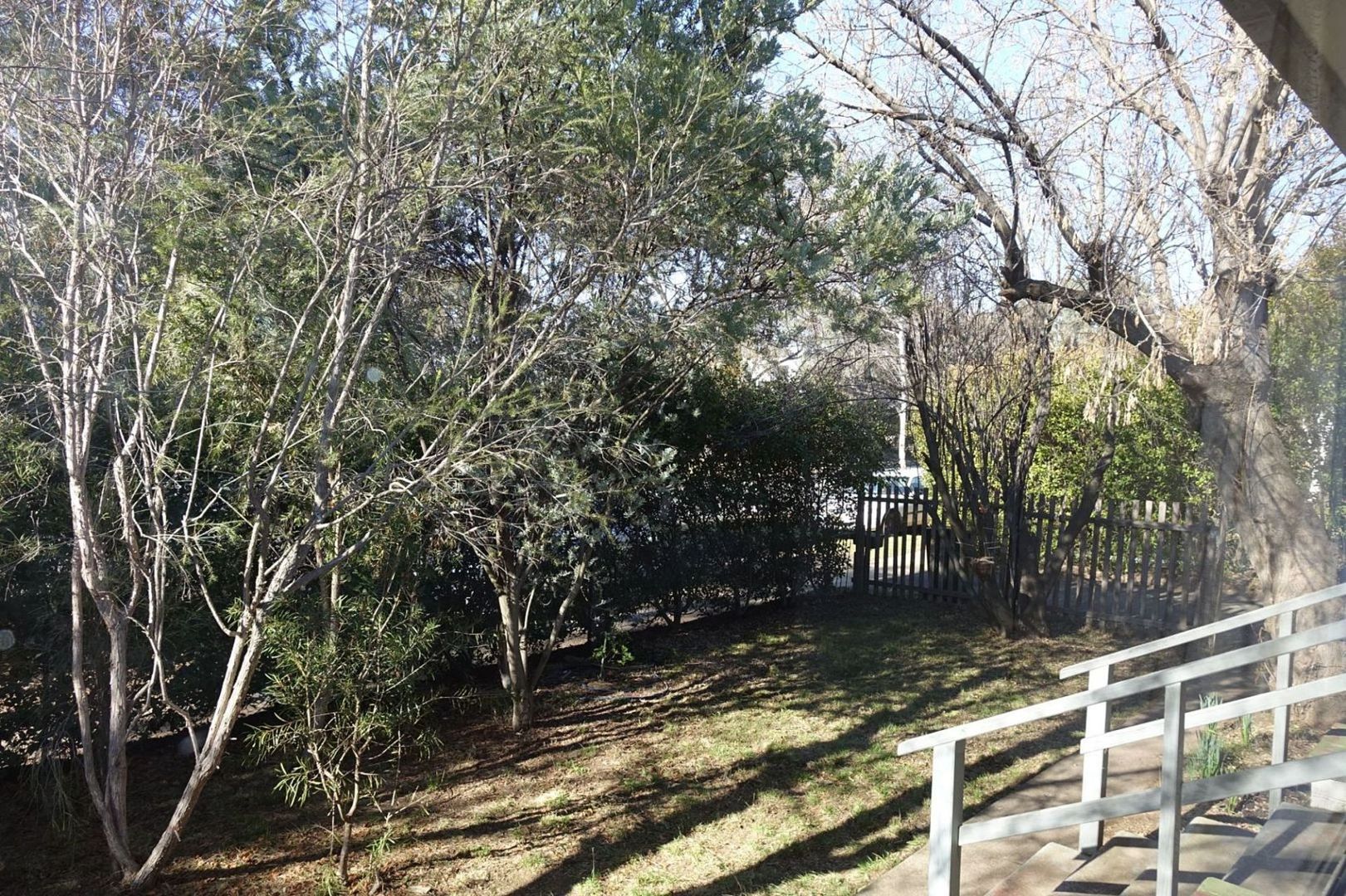 41 Miller St, O'Connor ACT 2602 House For Rent 650 Domain