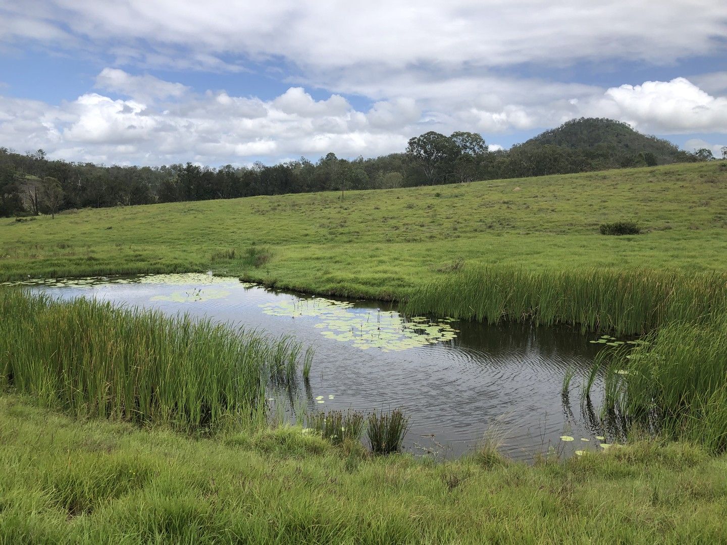 0 Kooralbyn Road, Laravale QLD 4285, Image 0