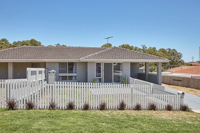 Picture of 19a Ashbourne Way, HAMILTON HILL WA 6163