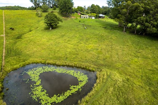 Picture of LOT 2, 206 Newee Creek Road, NEWEE CREEK NSW 2447