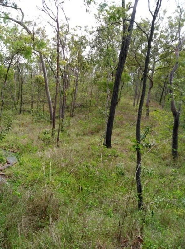 Image 8