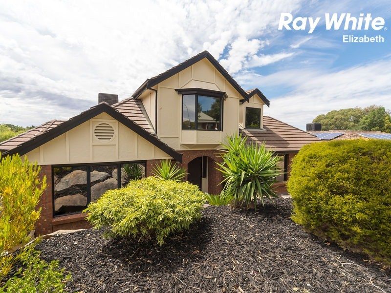 41 Bushmills St, Greenwith SA 5125, Image 1