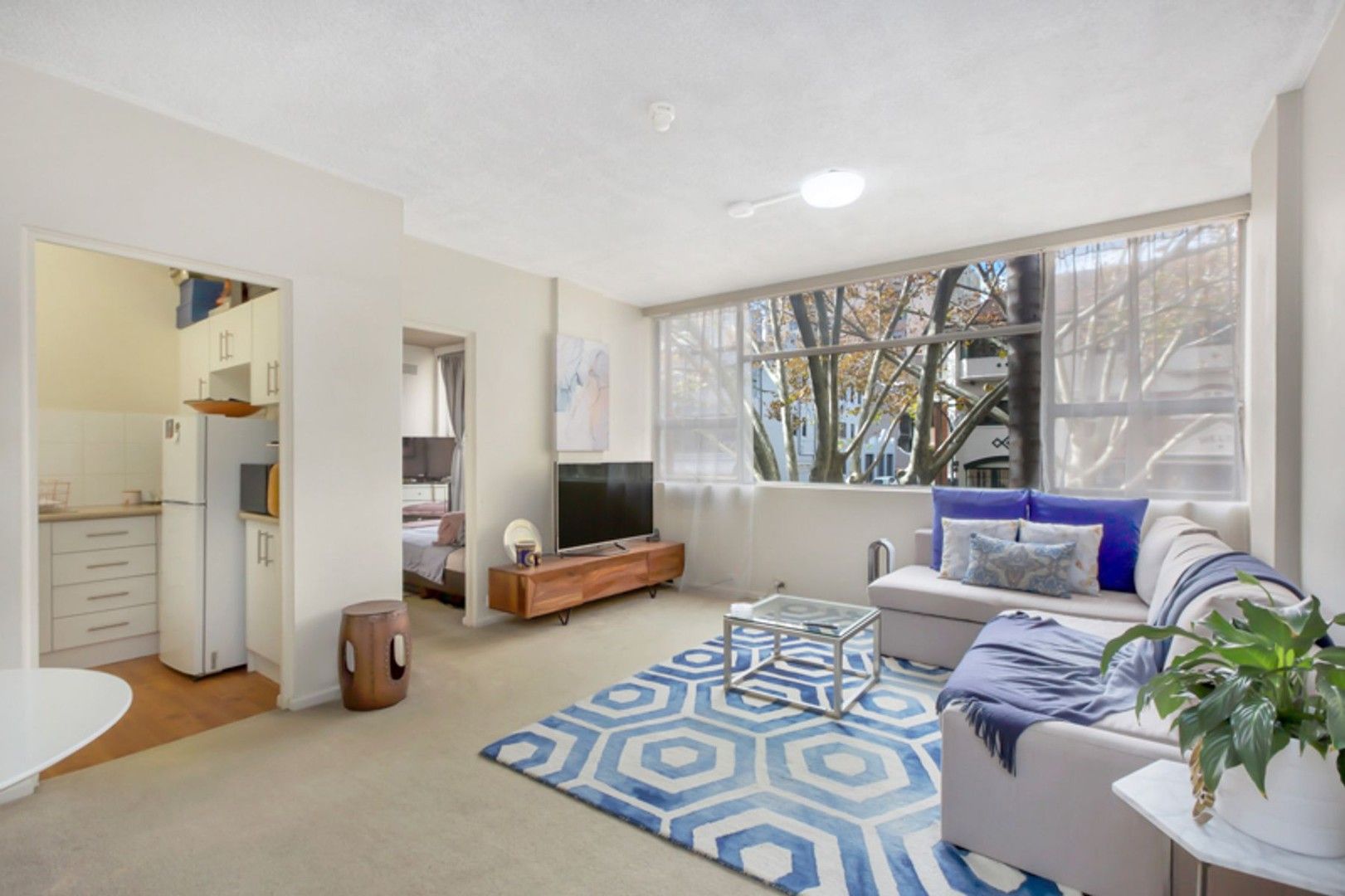 1 bedrooms Apartment / Unit / Flat in 29/117 Victoria Street POTTS POINT NSW, 2011