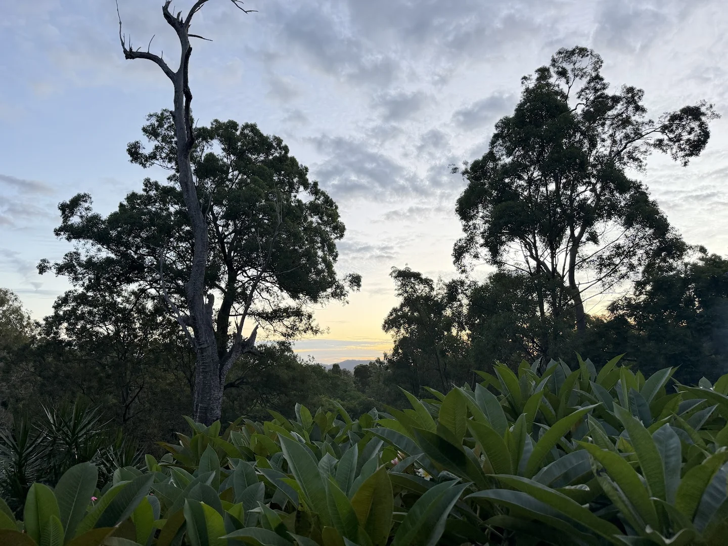 Additional image 15 of 130-136 Wagonwheel Road, Boyland QLD 4275