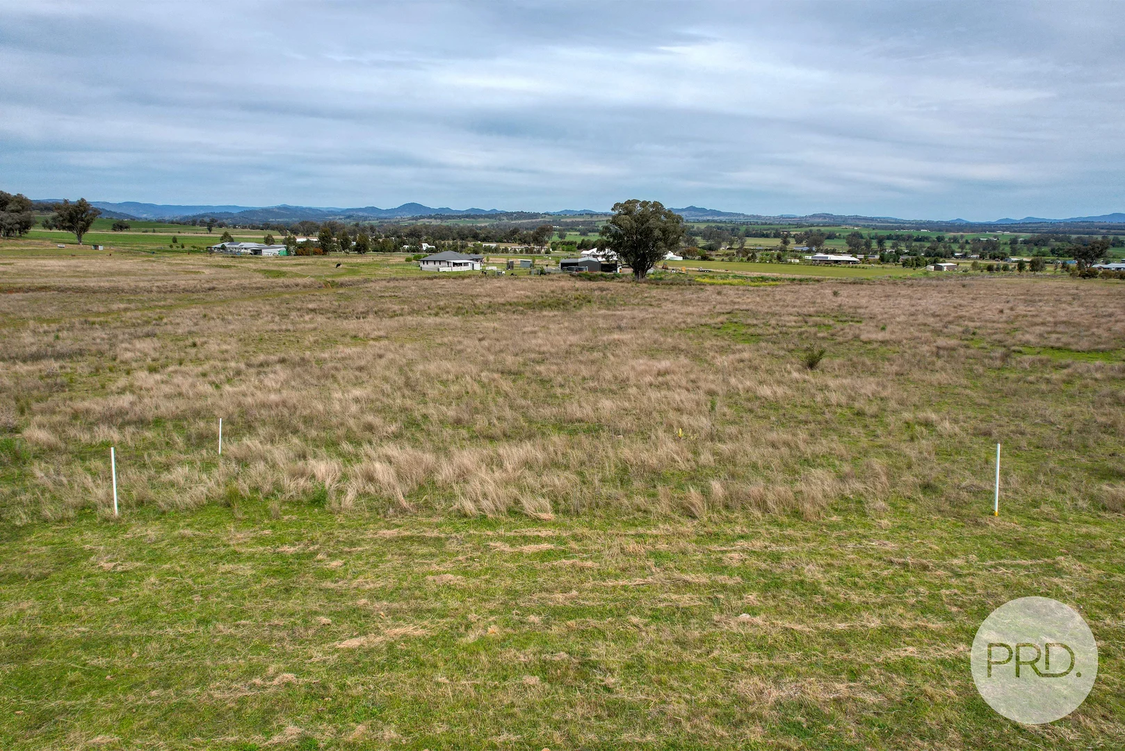 Image 13