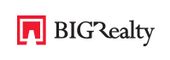 Logo for BIG REALTY