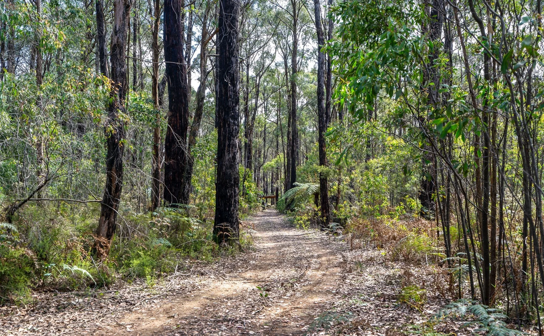 Additional image 3 of 224 Edenvale Crescent, Kinglake West VIC 3757