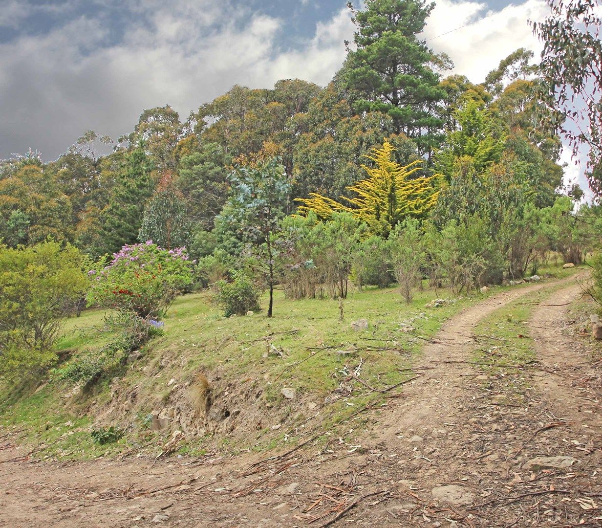 652 Collins Cap Road, Collinsvale TAS 7012, Image 0