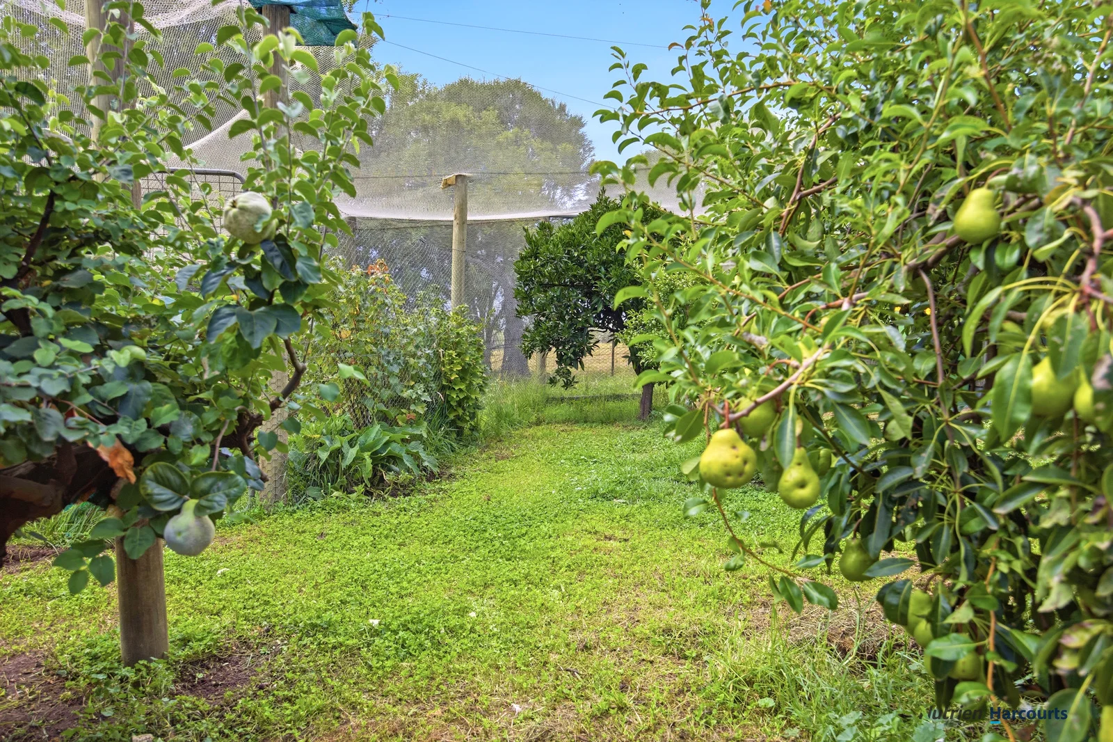 Additional image 21 of 318 Rubicon Road, Rubicon VIC 3712