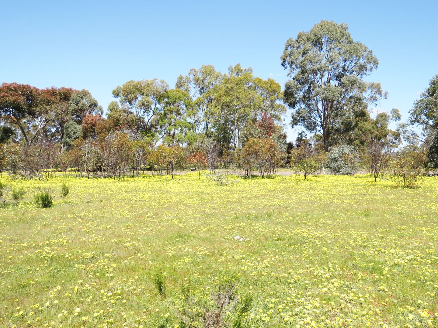 Lot 6 McNutts Lane, Heathcote VIC 3523, Image 1