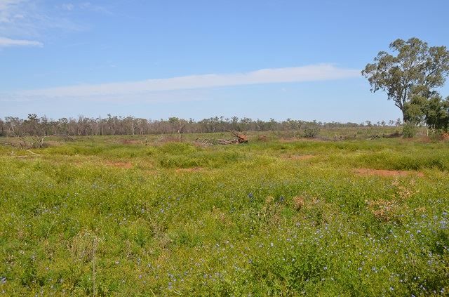 * Cooper's, Hermidale NSW 2831, Image 1