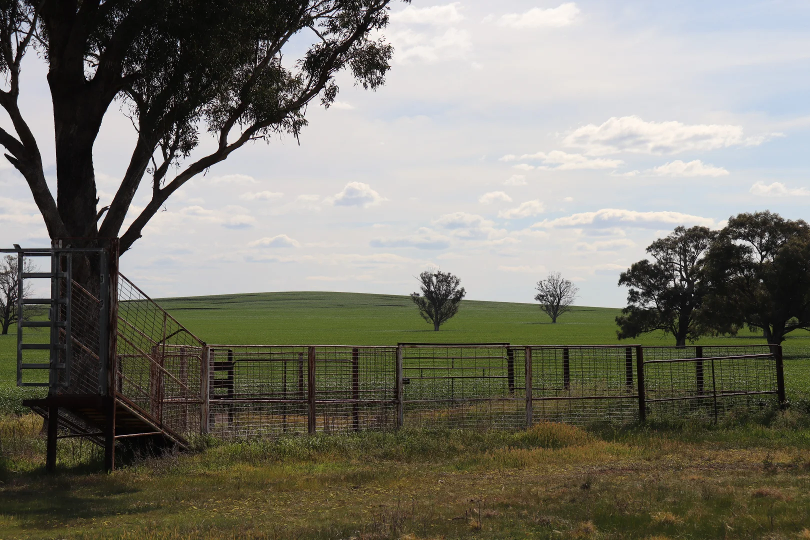 Image 22