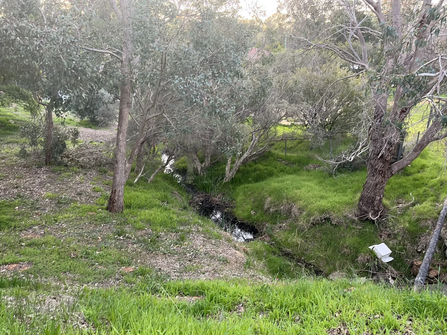 Image 25