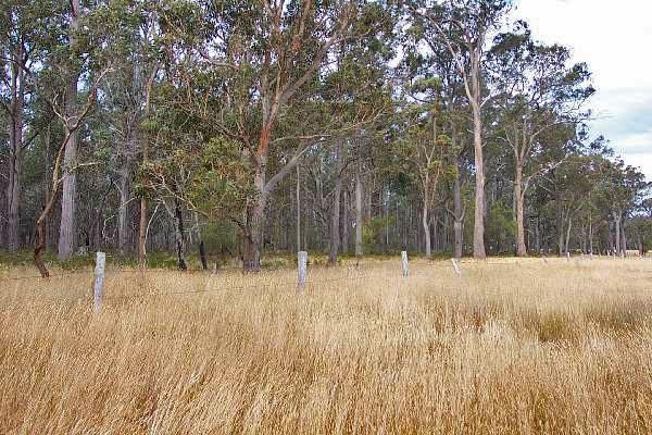 Earles Road, Woodside VIC 3874, Image 0