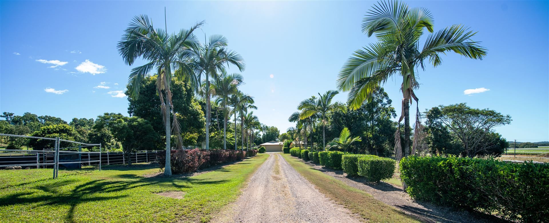 Sarina QLD 4737 Farm for Sale Domain