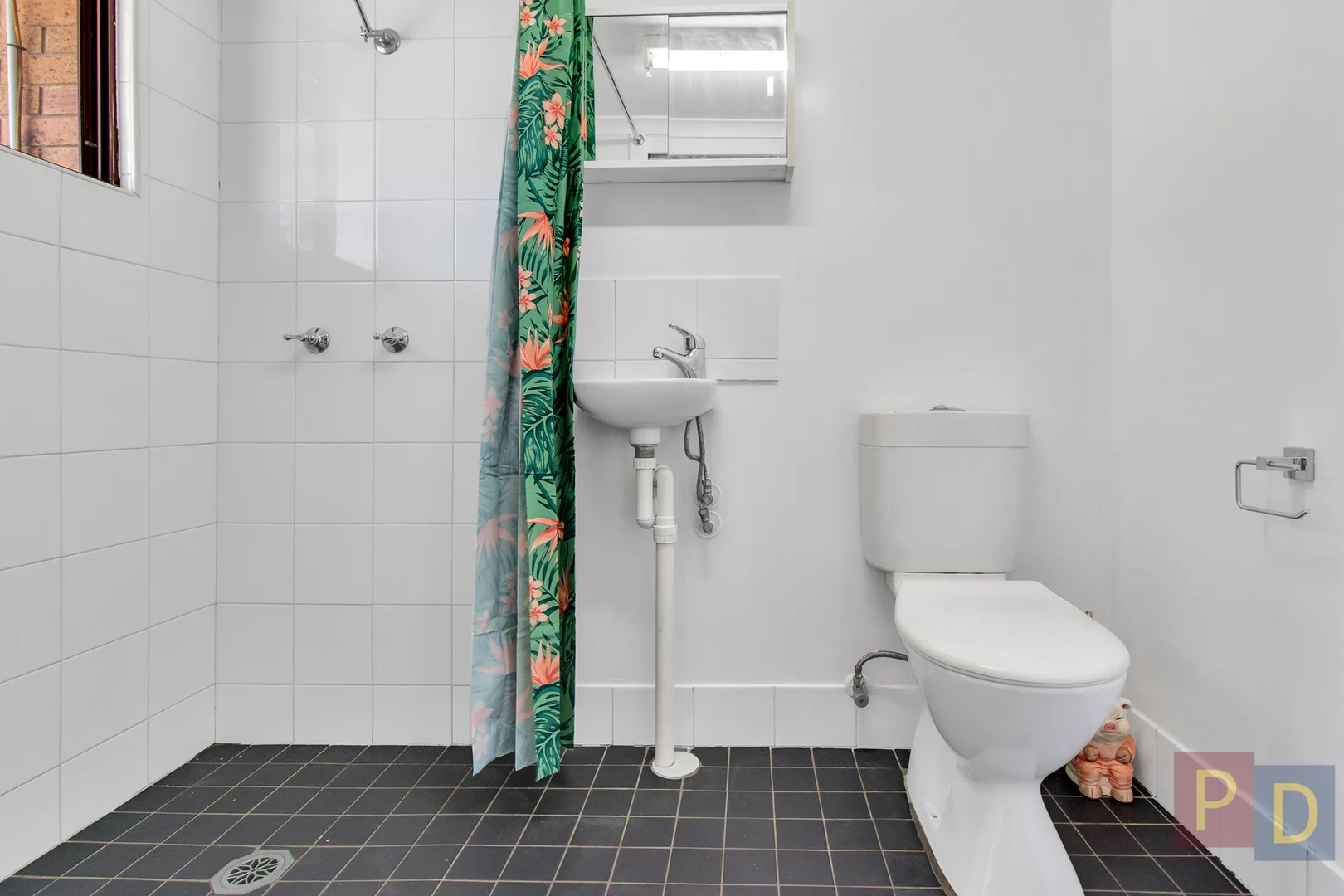 Additional image 21 of 6 Geary Avenue, Singleton NSW 2330