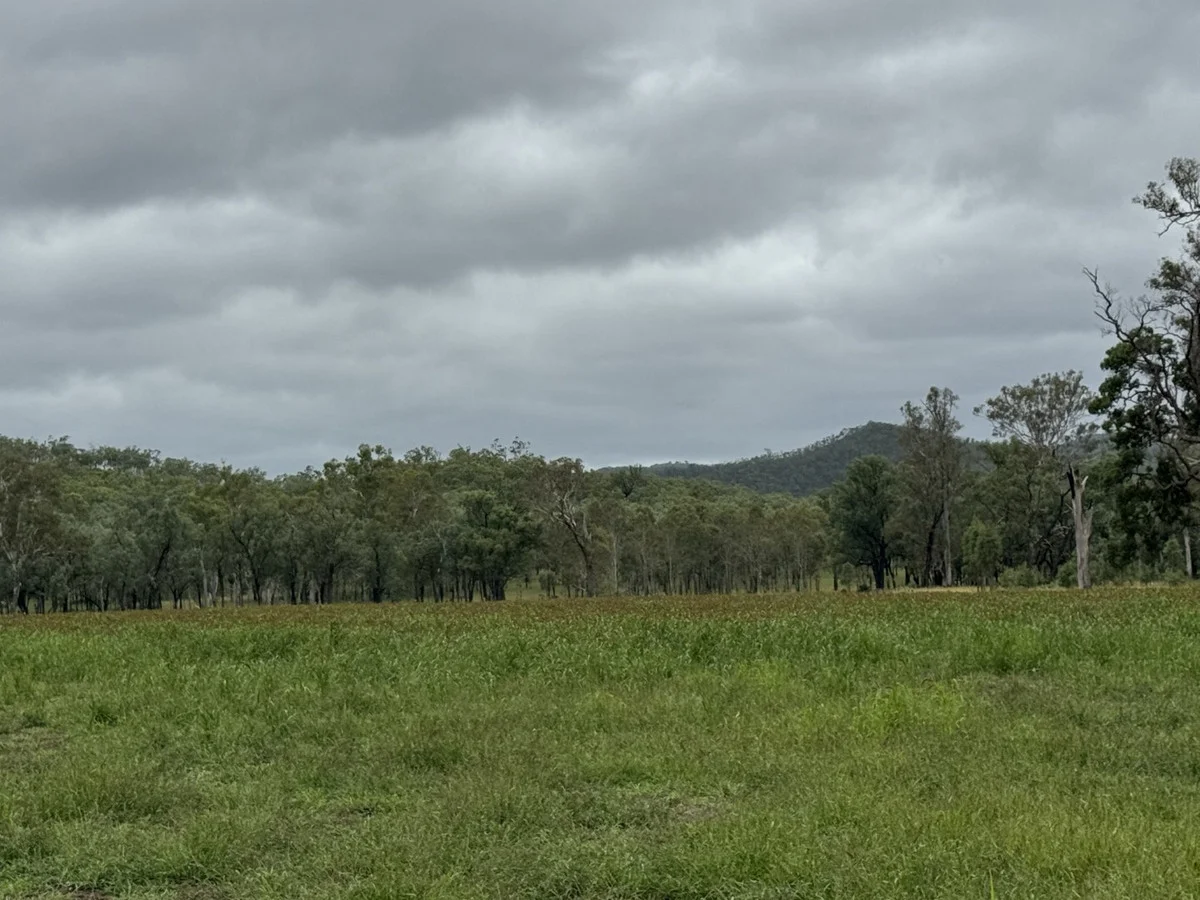 Additional image 31 of 1609 Monal Road, Monto QLD 4630