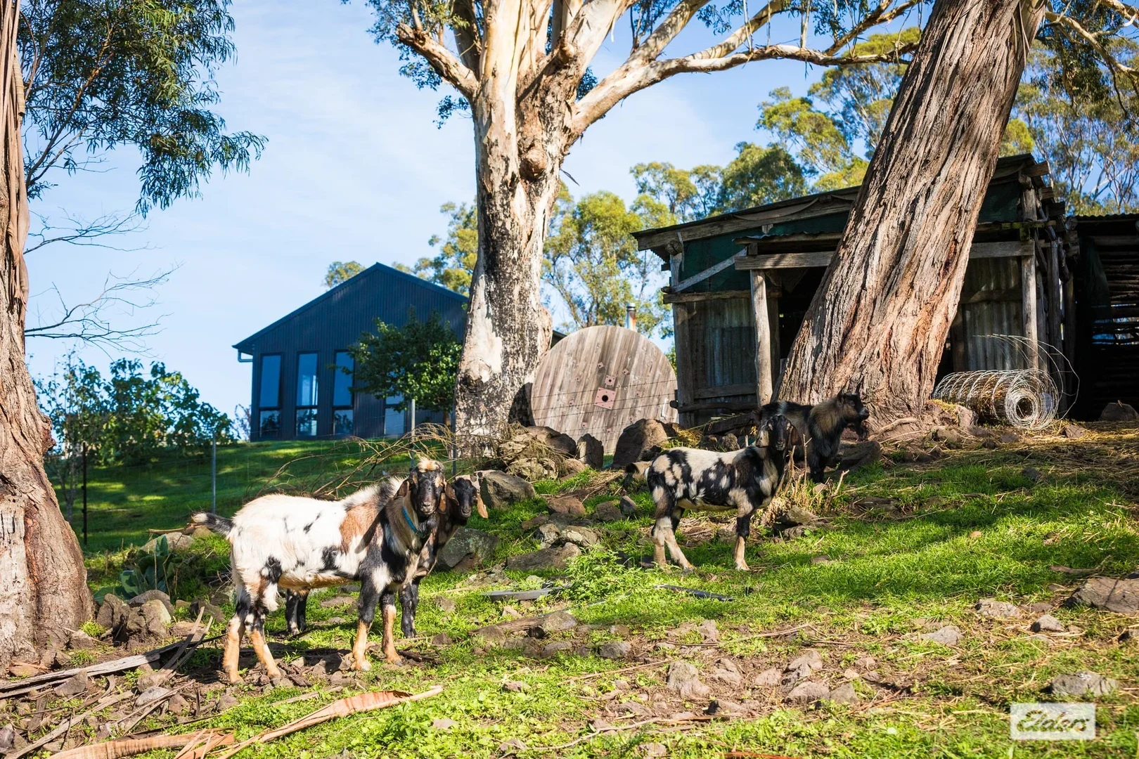 Additional image 26 of 613 New Buildings Road, Wyndham NSW 2550