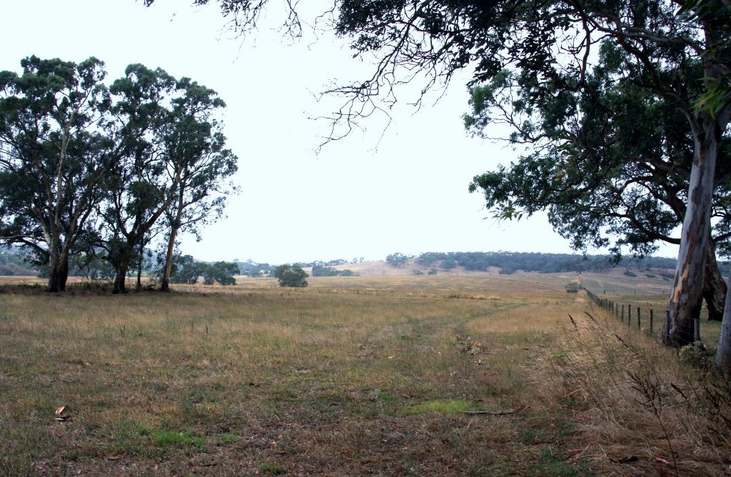 Lot 1004 Nottage Road, Meadows SA 5201, Image 1