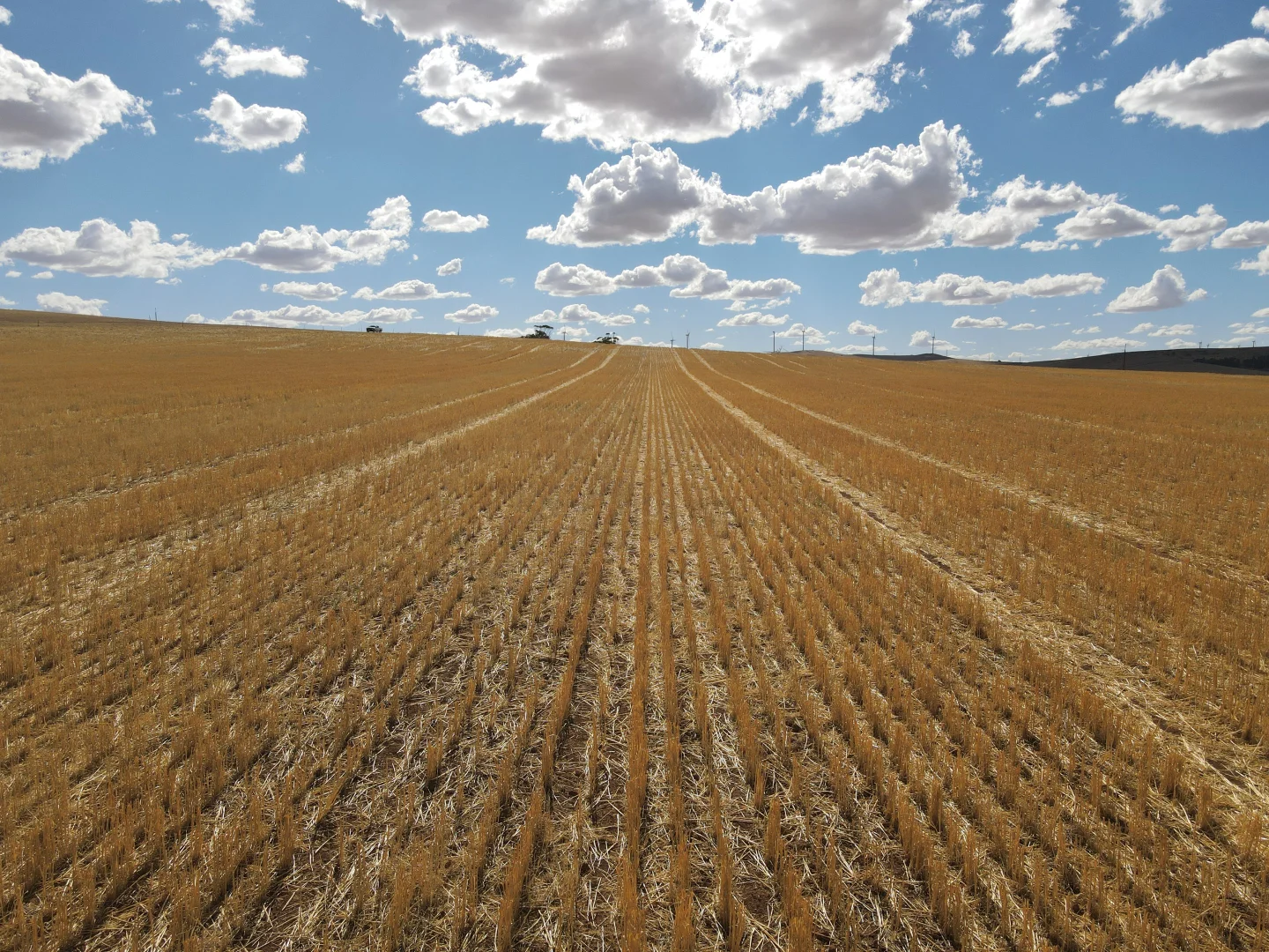 Additional image 6 of 4087 Booborowie Rd, Hallett SA 5419