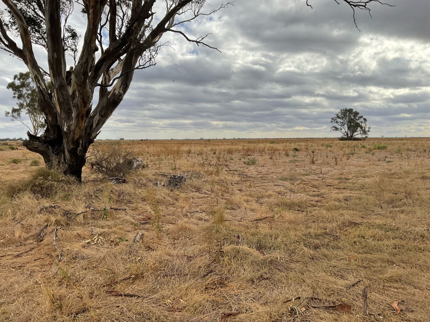 1467 KerangKoondrook Road, Teal Point VIC 3579 House for Sale 800,000