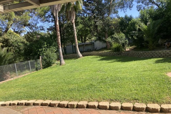 Picture of 210 Carthage Street, EAST TAMWORTH NSW 2340