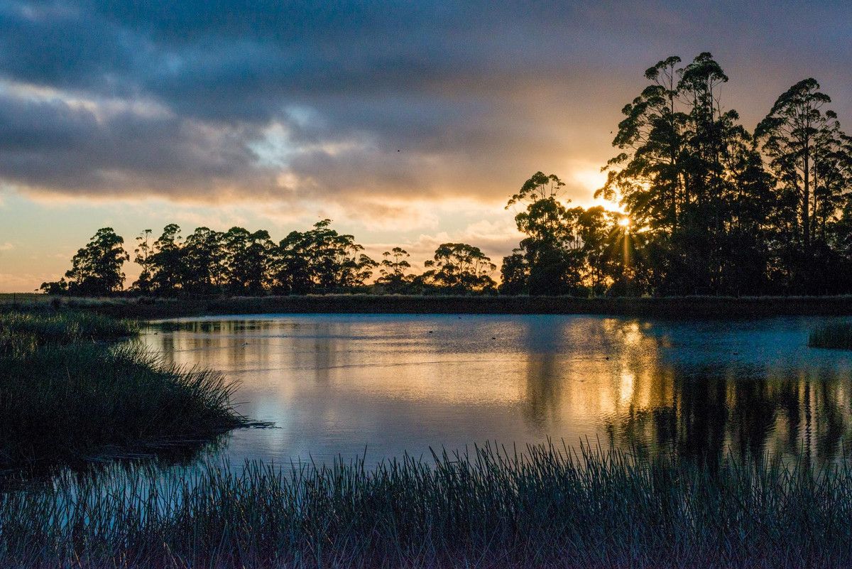1001 Oldina Road, Oldina TAS 7325 - House for Sale - $1,980,000