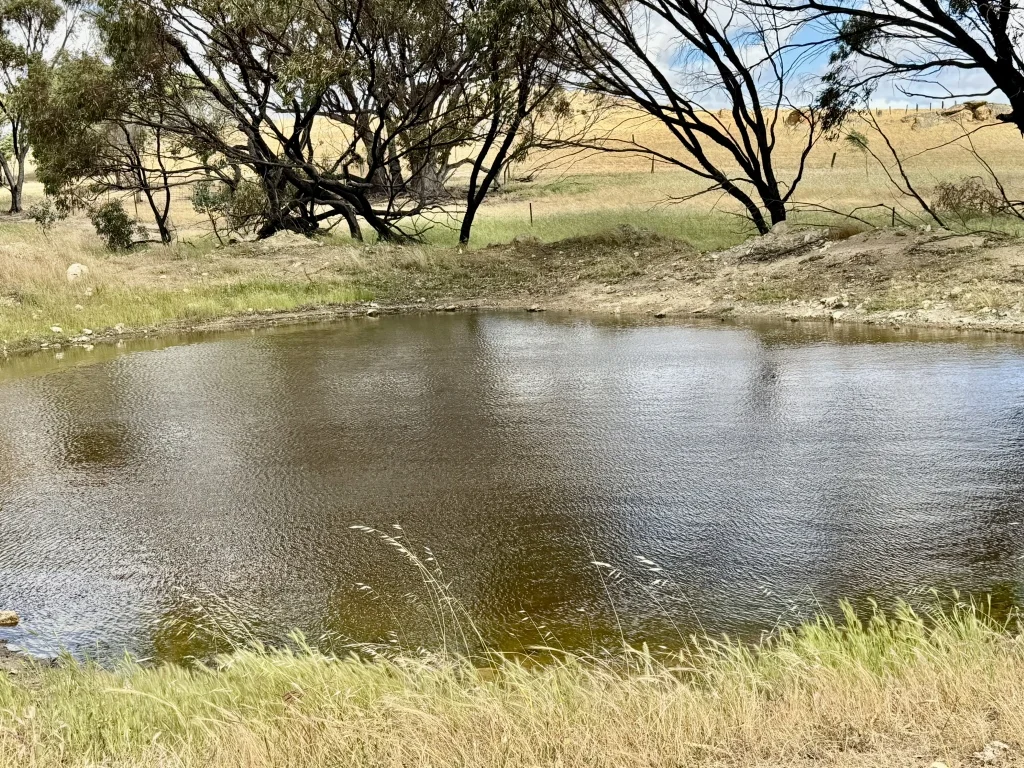 Image 20