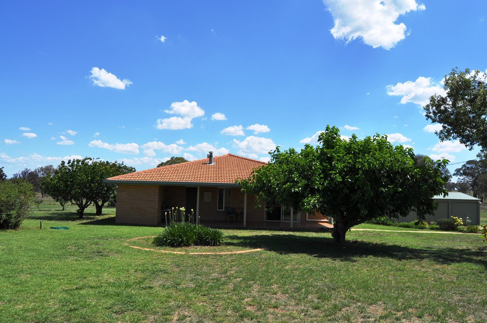 343 Puggoon Road, Gulgong NSW 2852, Image 1