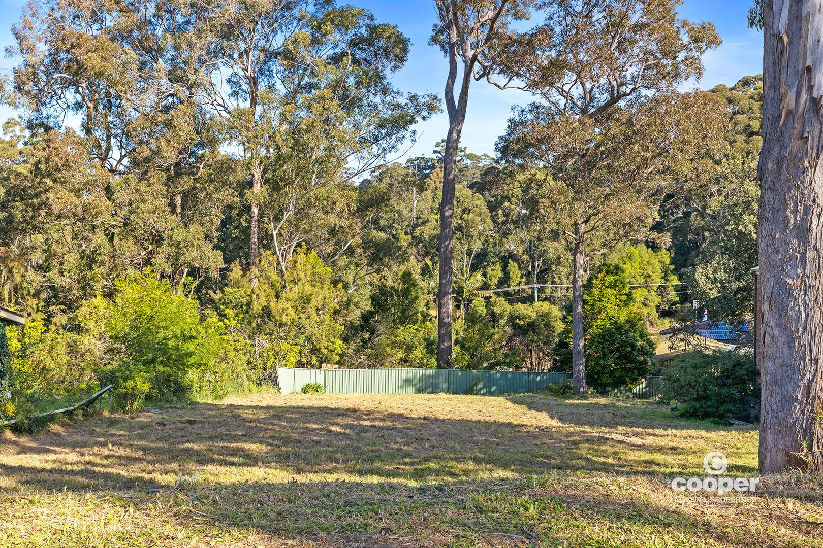 11 Bushland Avenue, Mollymook NSW 2539, Image 2