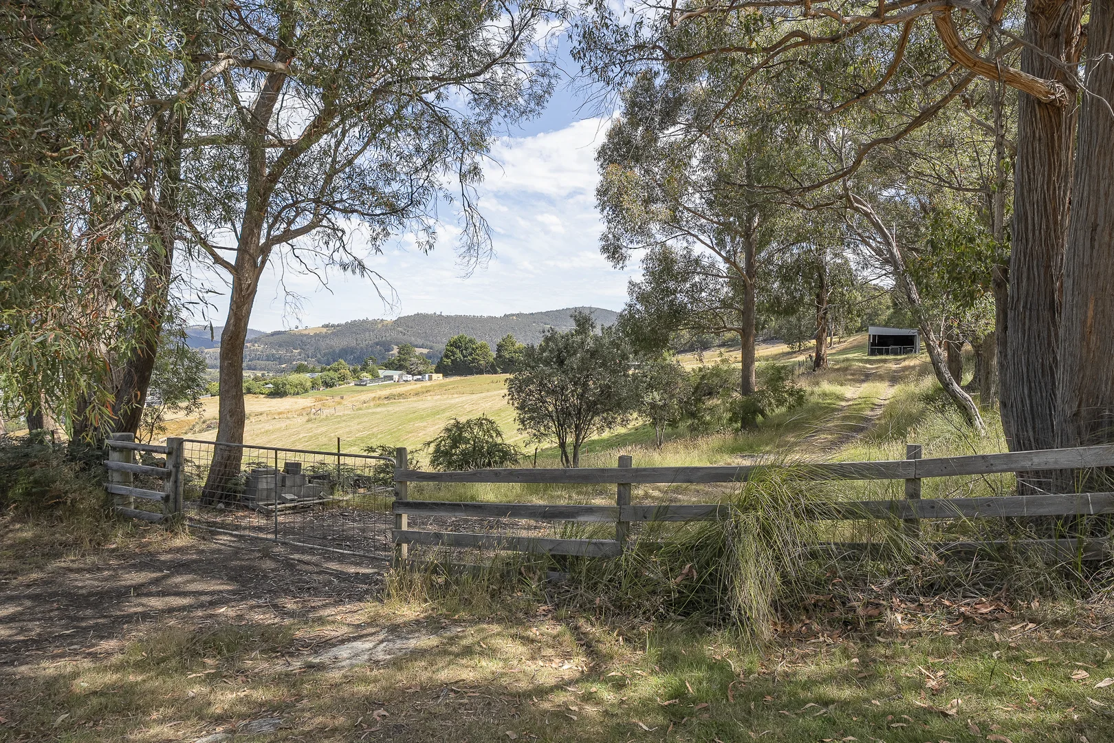 Image 15