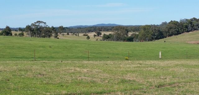 Red Hills Road, Marulan NSW 2579, Image 0