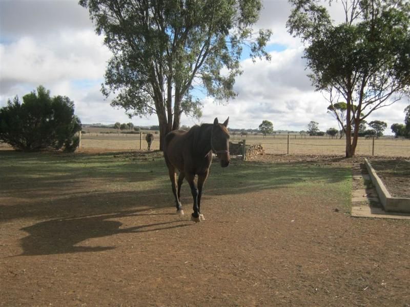 Lot 29-33 Robins Lane, Marrabel SA 5413, Image 2