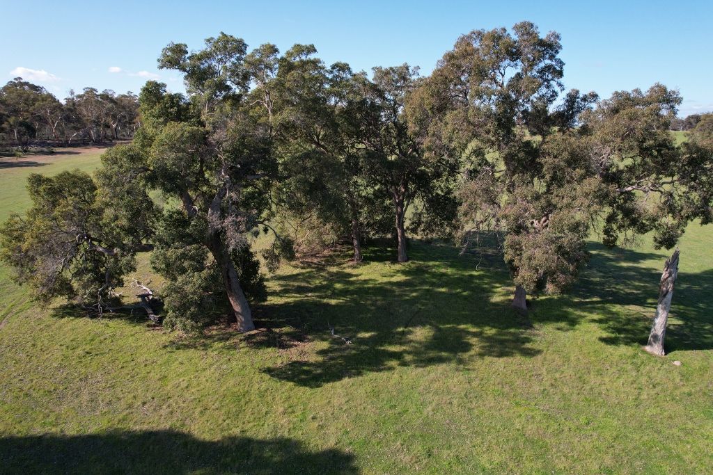 Lot 15221 Helena Road, York WA 6302, Image 2