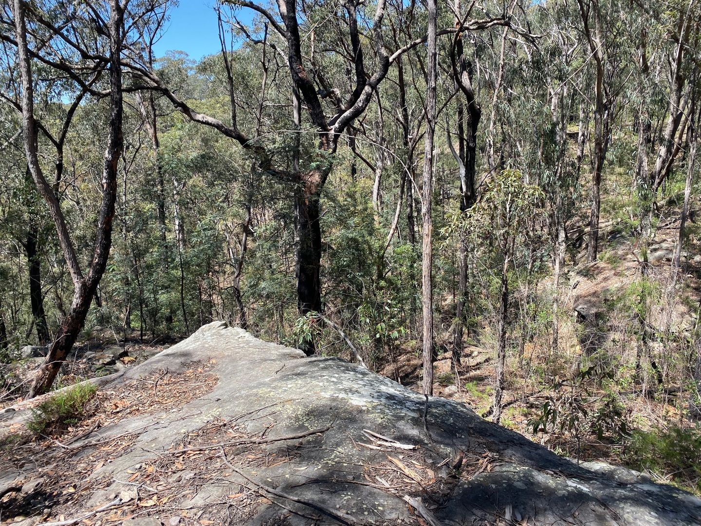 250 Wombat Road, Lakesland NSW 2572 Vacant Land for Sale 879,000