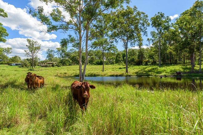 Picture of 500 Old Maryborough Road, TAMAREE QLD 4570