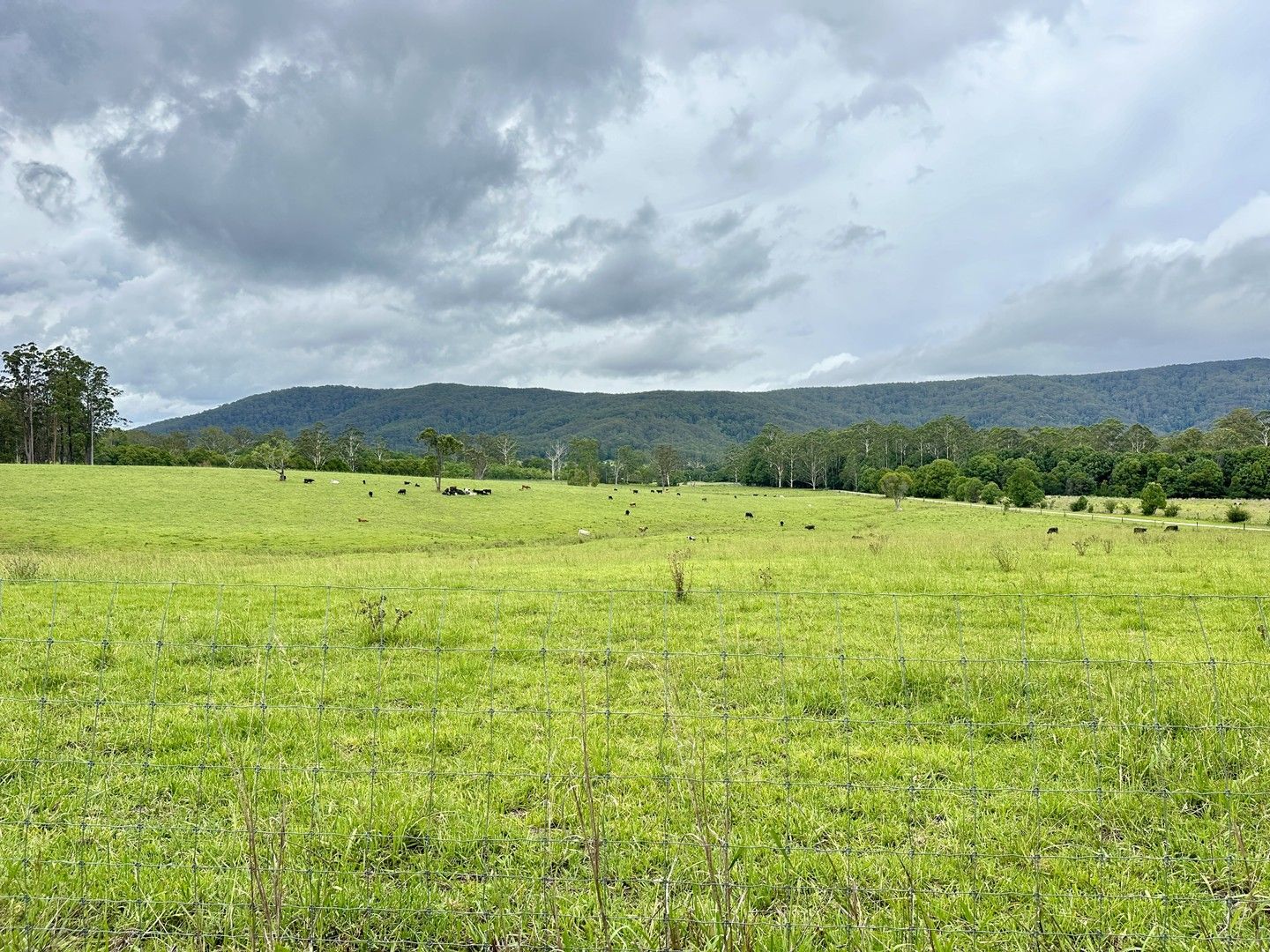 3/1239 Bucca Road, Bucca NSW 2450 Vacant Land for Sale Domain